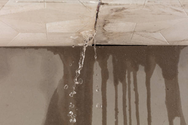 Professional Water Damage Repair technician working in Riva, MD
